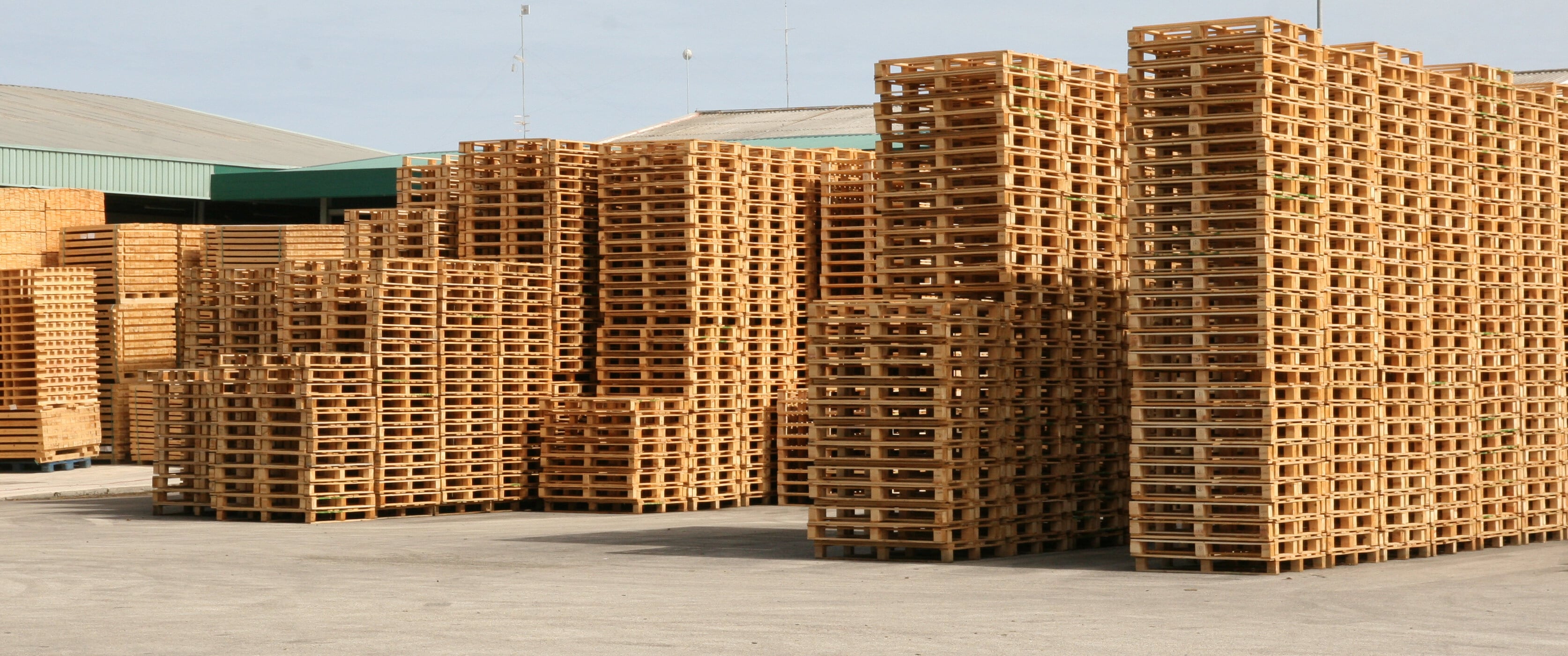 New Pallets